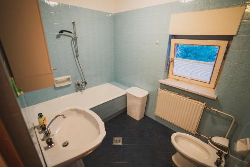 Spodnje GorjeApartmaji Retro的浴室配有白色水槽和卫生间。