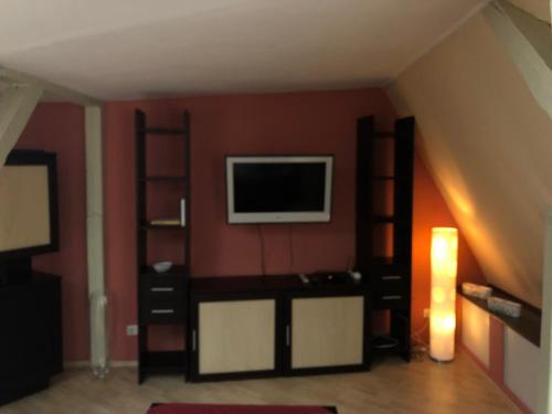 格赖茨Parkschlösschen in Greiz的客厅配有平面电视和书架。