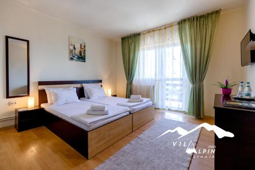 斯特拉扎Vila Alpin的一间卧室设有一张床和一个大窗户
