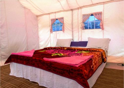 努布拉Julley World Camp的帐篷内一间卧室,配有一张床