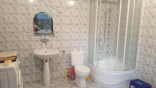 亨齐内Pod srebrną różą的浴室配有卫生间、淋浴和盥洗盆。