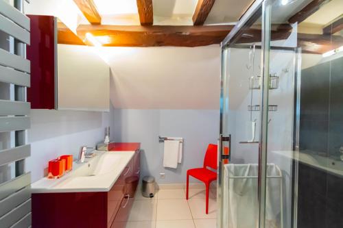 Auzouer-en-TouraineLA MUSARDIERE的一间带水槽和淋浴的浴室