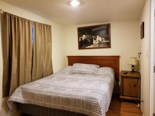 弗雷德里克斯堡Pecan Cabin的卧室配有一张床,墙上挂着一幅画