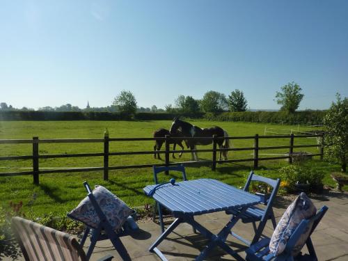 RedmileThe Paddock at Peacock Farm near Belvoir Castle的相册照片