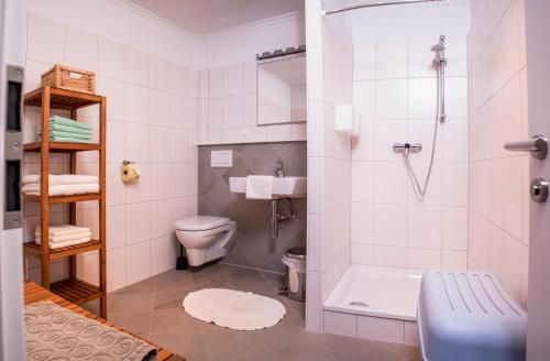 巴特格莱兴贝格兴登堡乡村别墅的带淋浴、卫生间和盥洗盆的浴室
