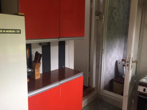 博尔若米GuestHouse Malkhazi的一间设有红色橱柜和卫生间的小厨房