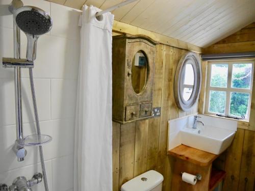 博利厄The Wayside Shepherd Hut的一间带水槽和镜子的浴室