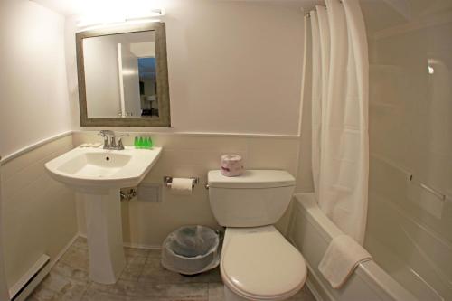 尼亚加拉瀑布瀑布家庭汽车旅馆的一间带卫生间、水槽和镜子的浴室