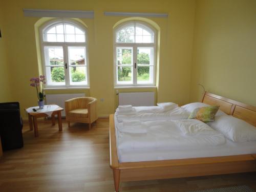 克尼特尔费尔德Zeilinger Villa的一间卧室配有一张带白色床单的床和两个窗户。