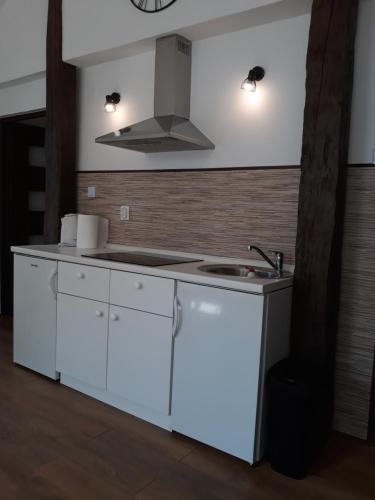 斯诺基斯特芬纳克公寓和客房旅馆的白色的厨房设有水槽和炉灶。