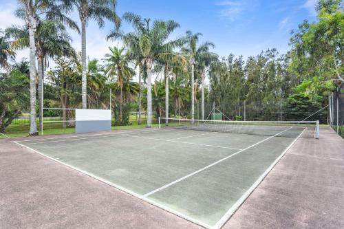 Shoalhaven HeadsMountain View Resort的一座棕榈树环绕的网球场