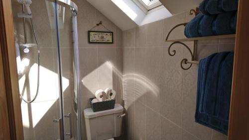 塔拉莫尔Kitty's的浴室设有玻璃淋浴间,配有带脚凳的玻璃淋浴间