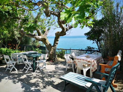 托里诺迪桑格罗vacanze al Mare appartamento in villa的一张桌子和椅子,享有海景