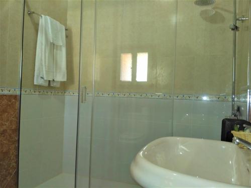 瓜达卢佩库拉索德锐欧教堂酒店的一间带水槽和玻璃淋浴的浴室