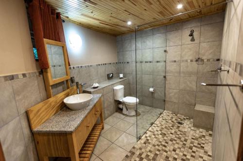 赫卢赫卢韦Gooderson DumaZulu Lodge的浴室配有卫生间、盥洗盆和淋浴。