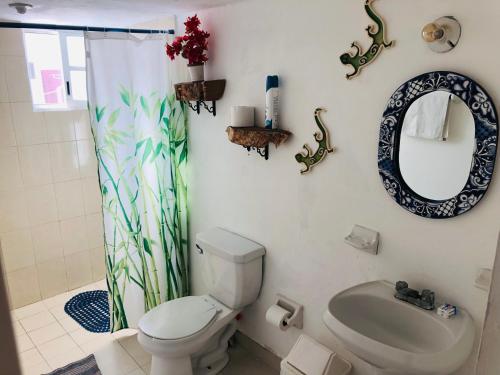 科苏梅尔Casa Alberto Cozumel的一间带卫生间、水槽和镜子的浴室