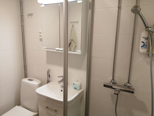于韦斯屈莱Laajavuori Apartment的浴室配有卫生间、盥洗盆和淋浴。