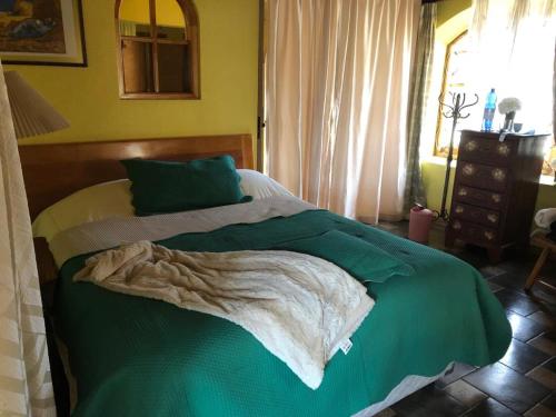 基约塔Acogedor的一间卧室配有一张带绿毯的床