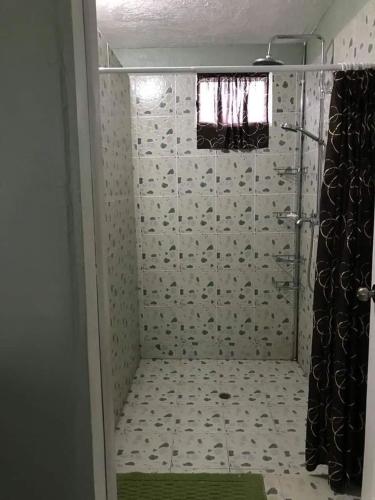 LepeaLotopa Tiny House的带淋浴和浴帘的浴室