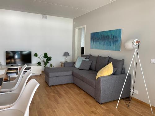 于韦斯屈莱海港公寓的客厅配有灰色的沙发和电视