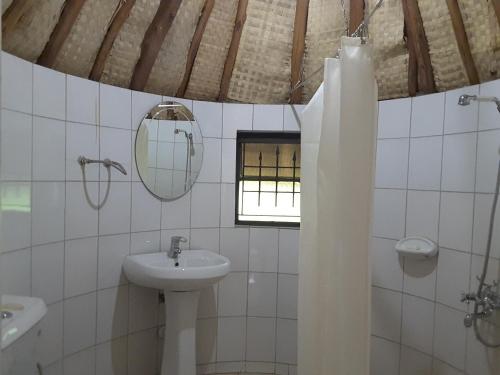 LiraBrownstone Country Home的一间带水槽和镜子的浴室