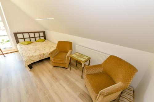 MeteliaiVivaldi Lake House的一间卧室配有两把椅子、一张床和一张桌子