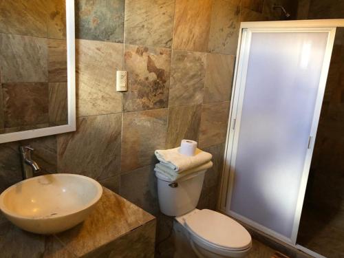 瓜纳华托坎特拉酒店的一间带卫生间和水槽的浴室
