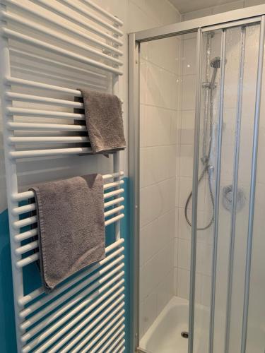 PfalzgrafenweilerBlack Forest Guest Stay的带淋浴的浴室和带毛巾架的浴室