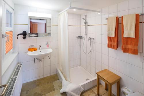 戈汀根Historische Residenz Lindeneck的带淋浴和盥洗盆的白色浴室