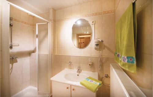 SteffeshausenHaus Engel-uriel的一间带水槽、镜子和淋浴的浴室
