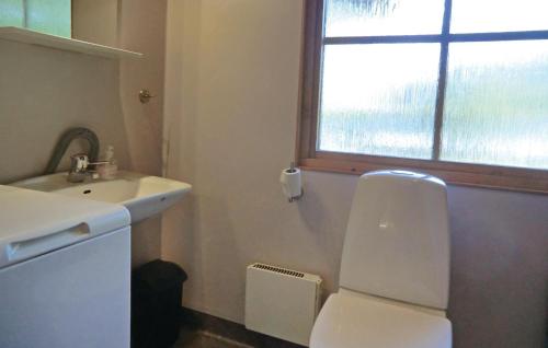 VanserumCozy Home In Frjestaden With Kitchen的一间带卫生间、水槽和窗户的浴室