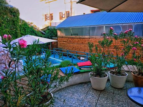 奇姆肯特萨帕尔标准酒店的花园的庭院里种有植物和枕头