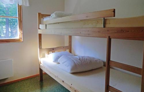 VanserumCozy Home In Frjestaden With Kitchen的一间卧室配有两张双层床。