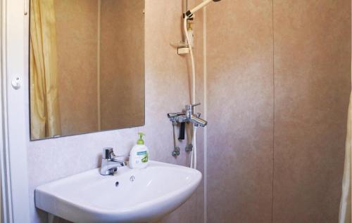 SannidalPet Friendly Home In Sannidal With Kitchenette的浴室配有盥洗盆和带镜子的淋浴