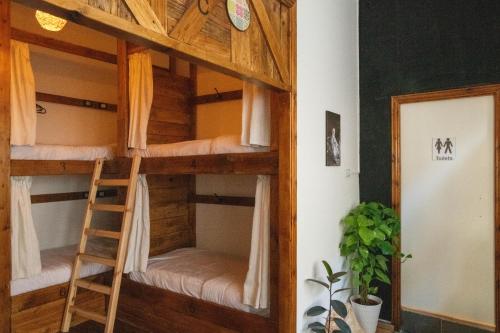 安曼The Cabin的带梯子的客房内的双层床