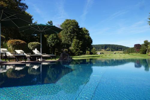 施卢赫湖施卢赫海弗洛拉公园酒店的一个带两把椅子和遮阳伞的游泳池