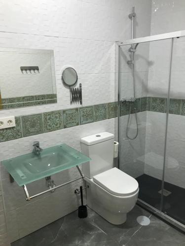 San Pedro de MéridaHostal Kavanna的浴室配有卫生间、淋浴和盥洗盆。