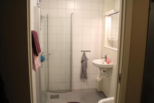 福勒松德Östra Flygeln Bunge Vandrarhem的带淋浴和盥洗盆的浴室