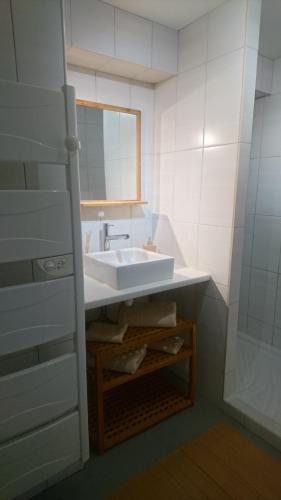 圣乌尔SEJOUR AU COEUR DES VOLCANS的一间带水槽和镜子的浴室