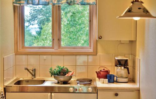 费尔耶斯塔登Gorgeous Home In Frjestaden With Wifi的厨房设有水槽和窗户。