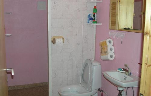 努尔菲尤尔埃德Cozy Home In Nordfjordeid With Kitchen的粉红色的浴室设有卫生间和水槽