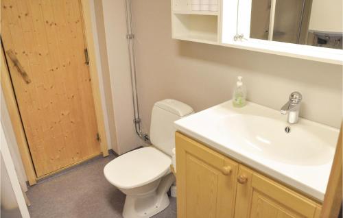 洛夫斯达伦Awesome Home In Lofsdalen With Kitchen的一间带卫生间和水槽的浴室