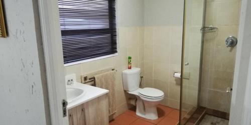 鲁德普特Gold Crest Guesthouse的浴室配有卫生间、盥洗盆和淋浴。