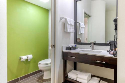 奥兰治堡Sleep Inn Orangeburg的一间带水槽、卫生间和镜子的浴室