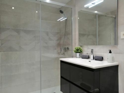 萨拉戈萨Dos Torres Frodo - Estacionamiento Privado Gratuito的一间带水槽和淋浴的浴室