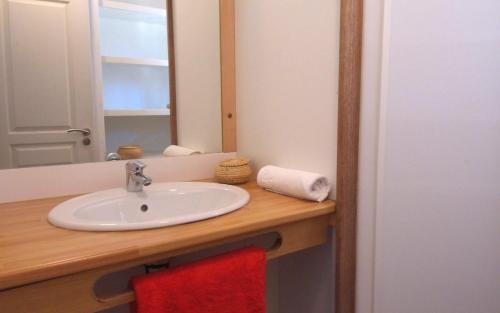 莫列马阿VVF Landes Moliets的一间带水槽和镜子的浴室