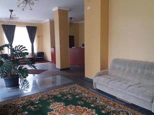 哈尔科夫亚历山大酒店的带沙发和地毯的客厅
