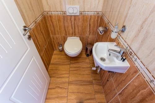 希欧福克希欧福克豪华公寓式酒店的一间带卫生间和水槽的小浴室