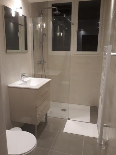 普罗万coté remparts的带淋浴、盥洗盆和卫生间的浴室