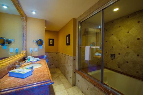 卡波圣卢卡斯培亚大海滩度假村的带淋浴、盥洗盆和浴缸的浴室